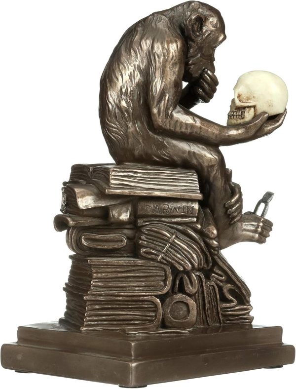 Design Toscano Darwin's Ape Sculpture - Image 4